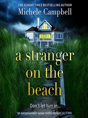 cover image of A Stranger on the Beach